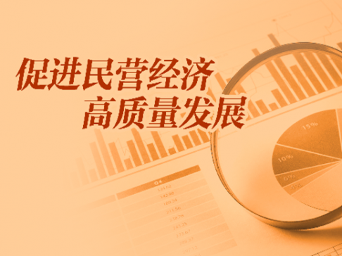 專題丨促進(jìn)民營經(jīng)濟(jì)高質(zhì)量發(fā)展