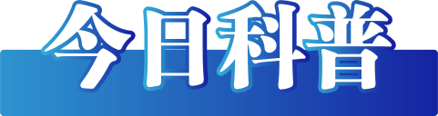 docx_pic_4.png